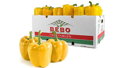 Red Bell Pepper (appx 250-300 gms) – Fruit Box & Co.