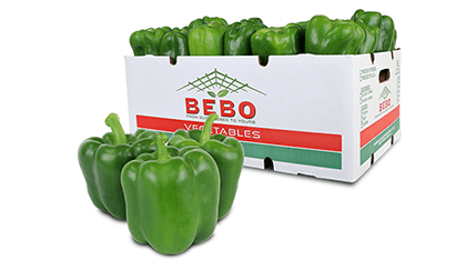 . Box of Green Bell Peppers, 20 Lbs